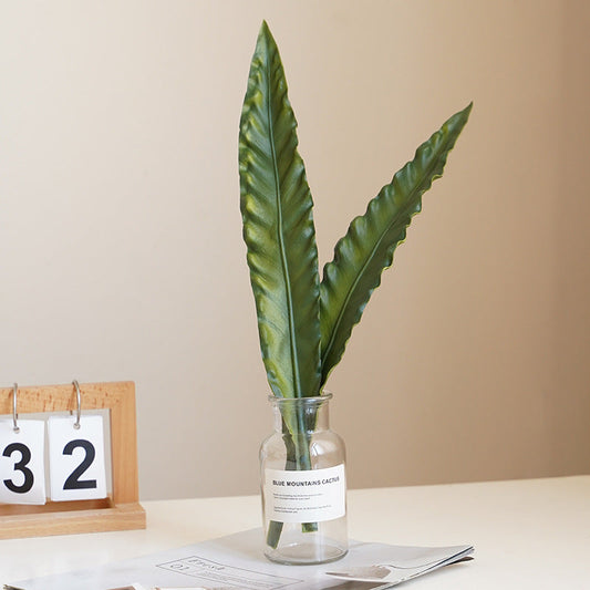 The Wave of Green: How a Faux Succulent Transformed a New Yorker's Life