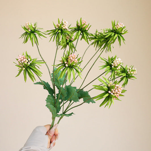 The Eternal Bloom of Celery Stems