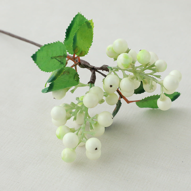 Single Acacia Bean Simulation Berry Simulation Flower