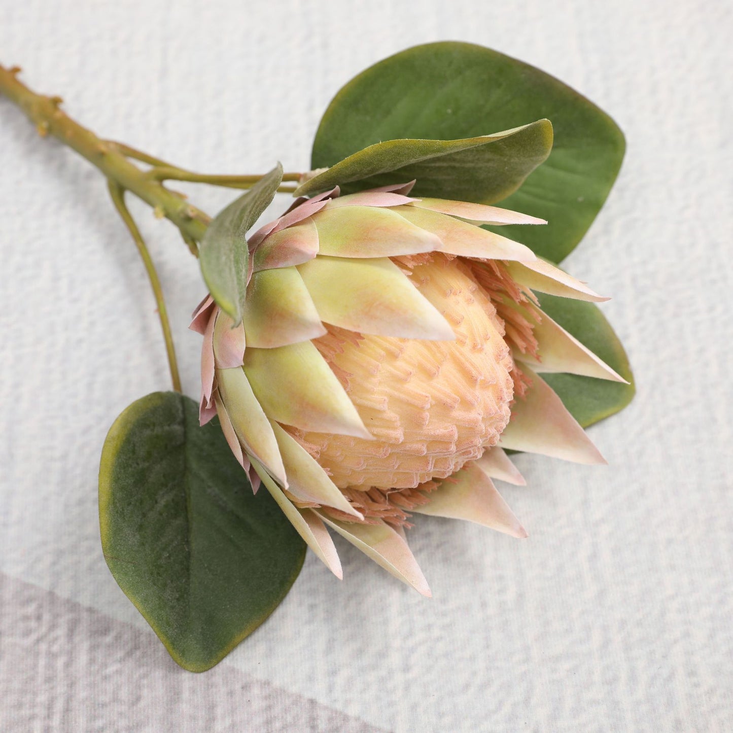 Simulated King Protea