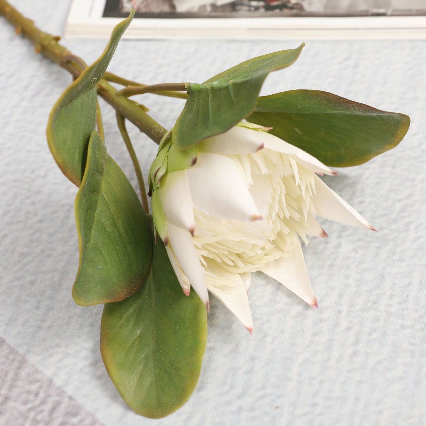 Simulated King Protea