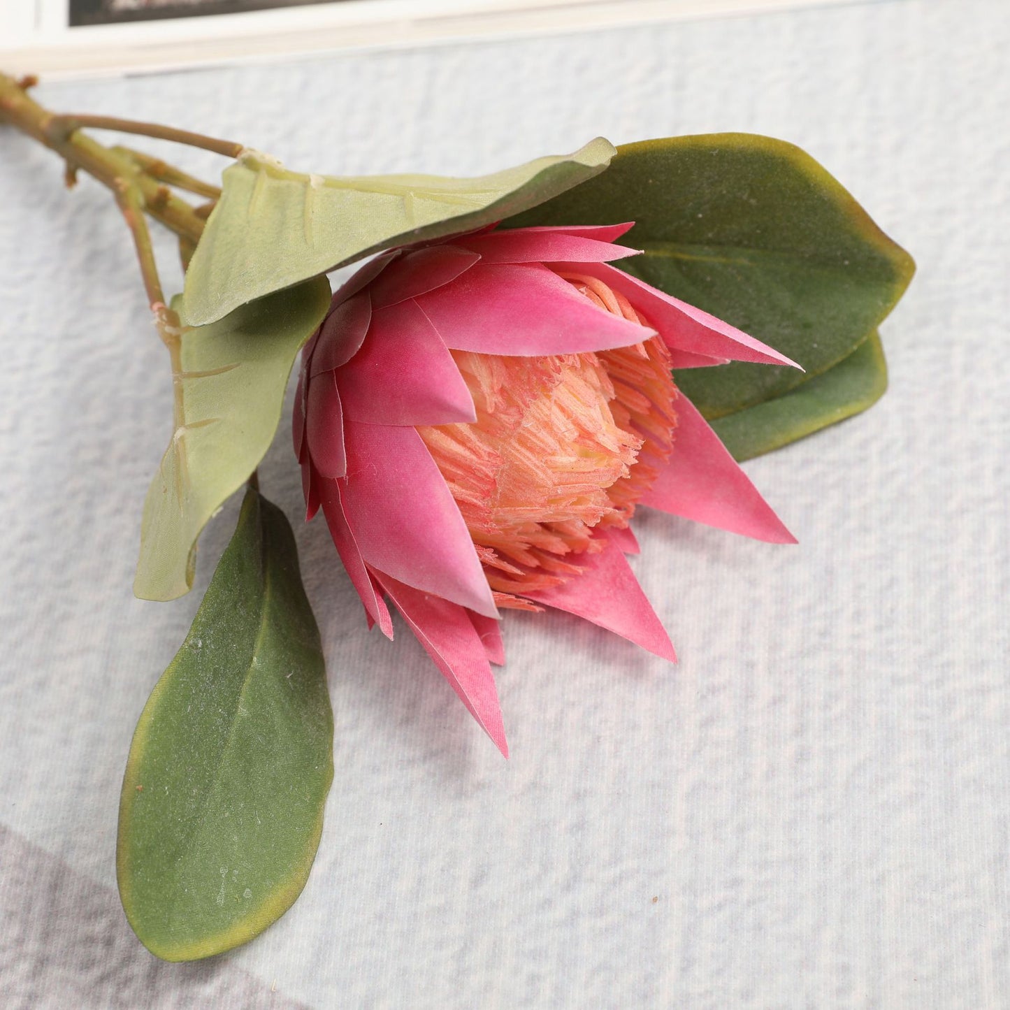 Simulated King Protea
