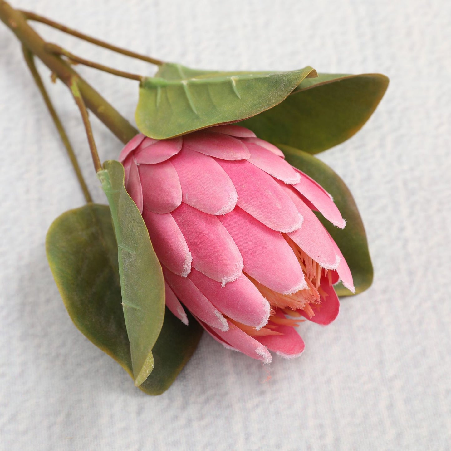 Simulated King Protea