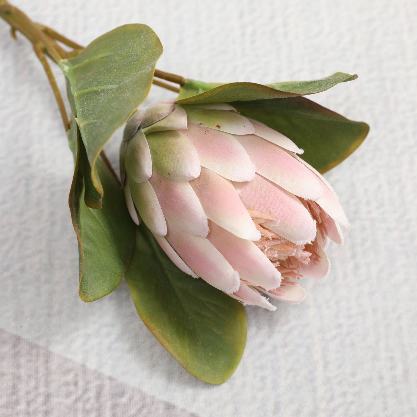 Simulated King Protea