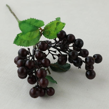 Single Acacia Bean Simulation Berry Simulation Flower