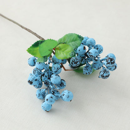 Single Acacia Bean Simulation Berry Simulation Flower