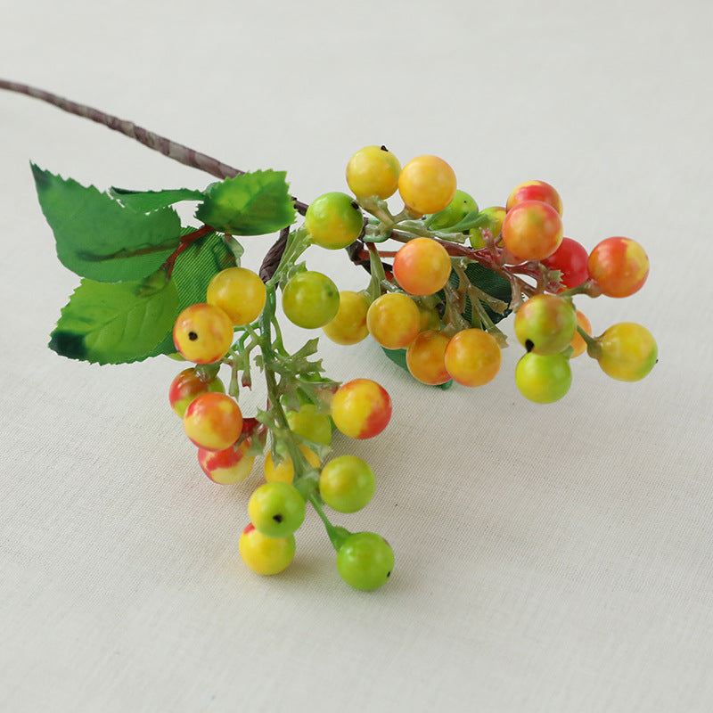 Single Acacia Bean Simulation Berry Simulation Flower