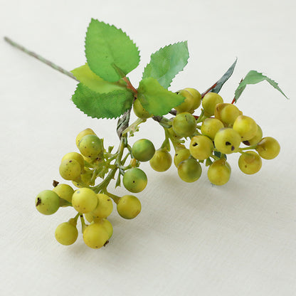 Single Acacia Bean Simulation Berry Simulation Flower