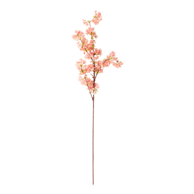 Simulation single cherry blossom branches
