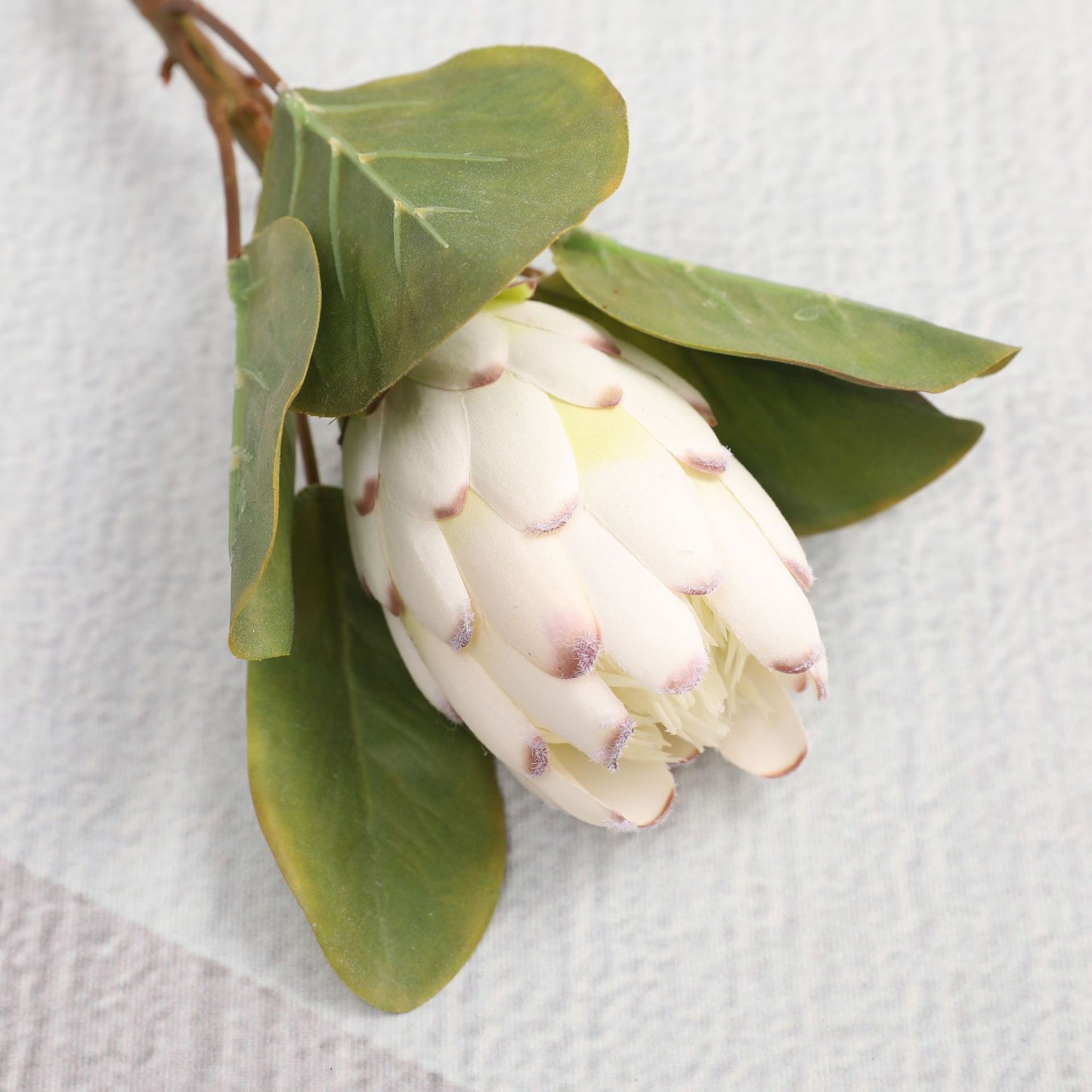 Simulated King Protea