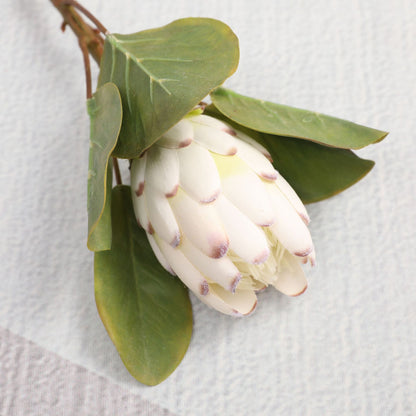 Simulated King Protea