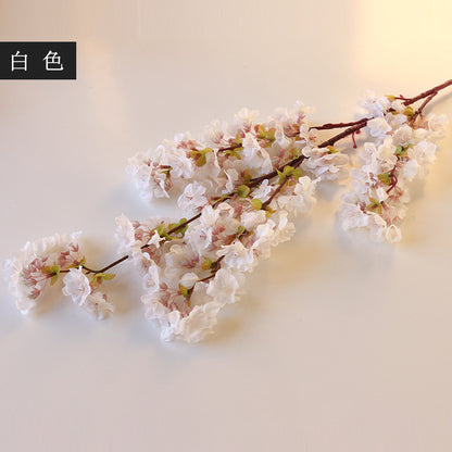 Simulation single cherry blossom branches