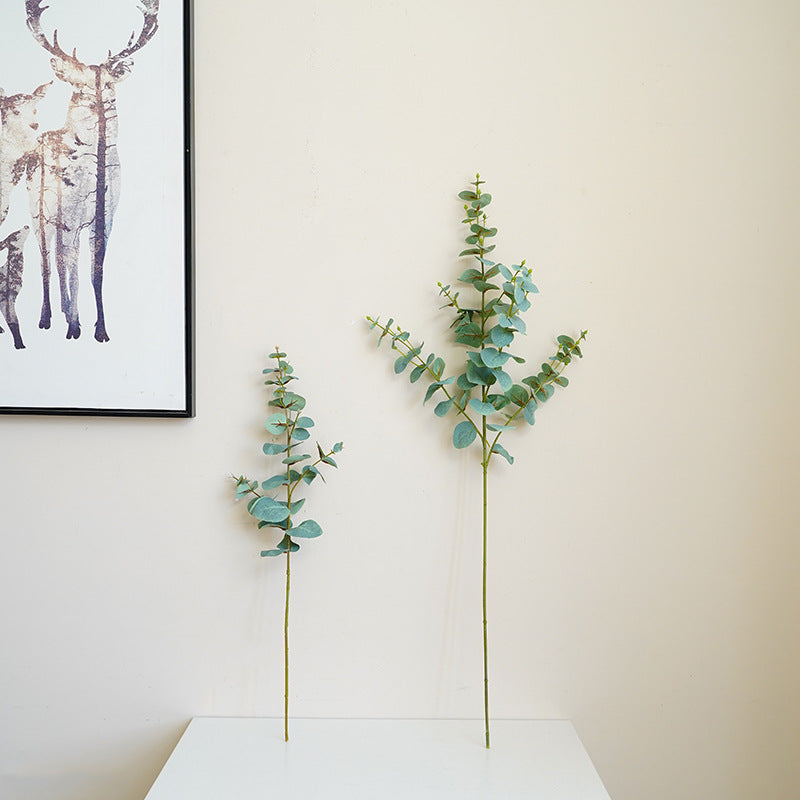 Simulated single eucalyptus leaf, money leaf