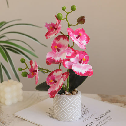 Phalaenopsis potted artificial flowers