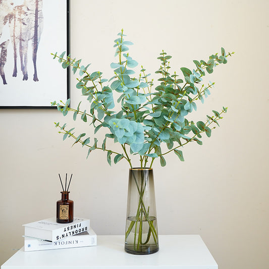 Simulated single eucalyptus leaf, money leaf