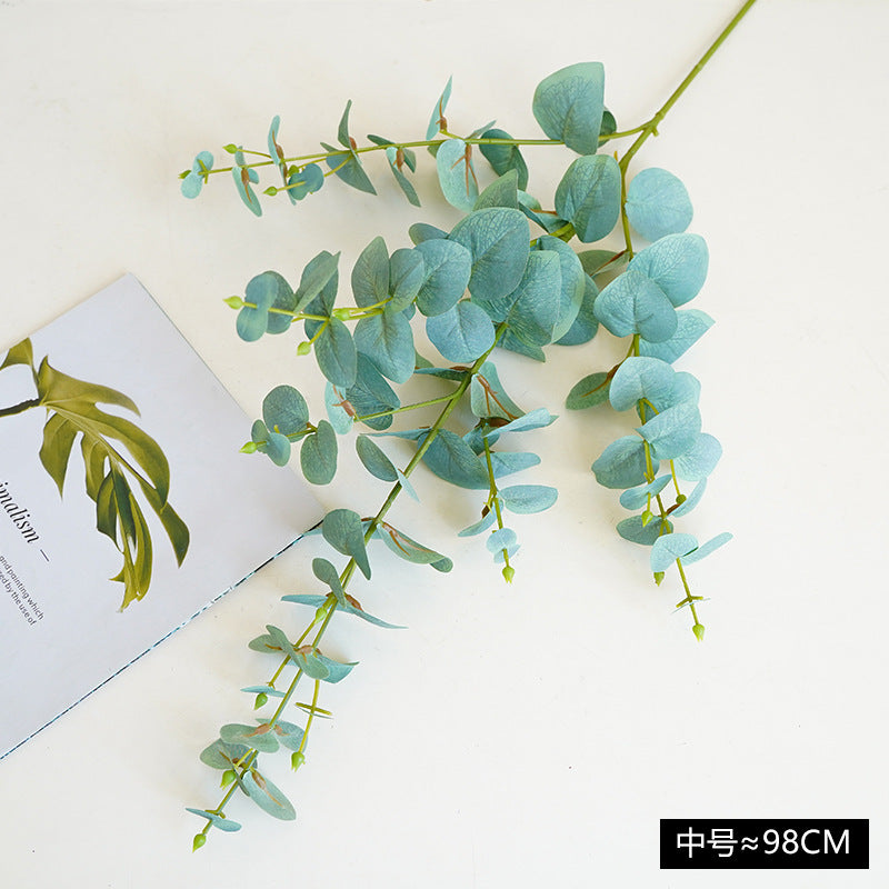 Simulated single eucalyptus leaf, money leaf