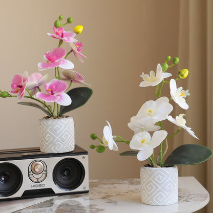 Phalaenopsis potted artificial flowers