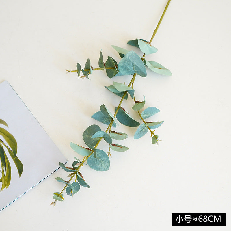 Simulated single eucalyptus leaf, money leaf