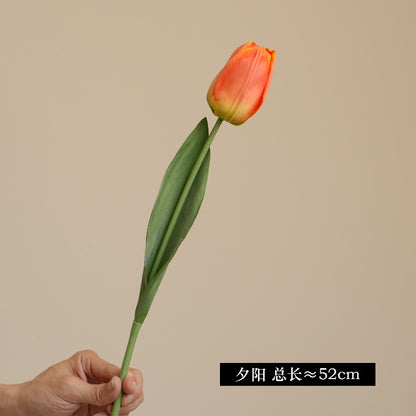 Simulation single Austin tulip bouquet
