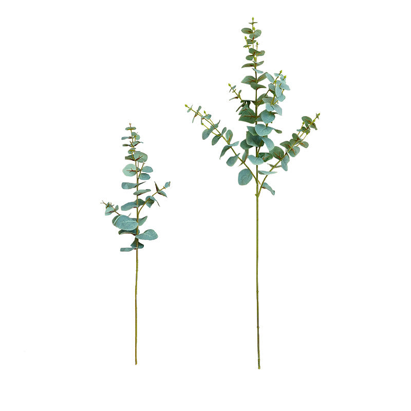 Simulated single eucalyptus leaf, money leaf