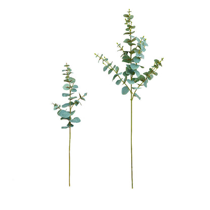 Simulated single eucalyptus leaf, money leaf